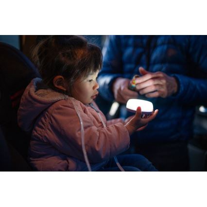 Ledlenser KIDCAMP6 DINO - reguleeritava heledusega LED kaasaskantav lamp, LED/3xAAA, IP44, roheline