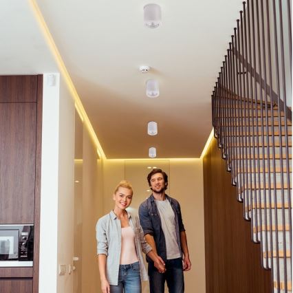 Ledvance - Kohtvalgusti TUBA 1xGU10/50W/230V