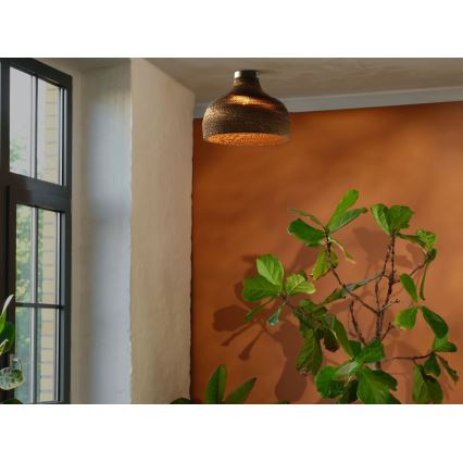 Ledvance - Laevalgusti DECOR CARDBOARD 1xE27/15W/230V d. 36 cm