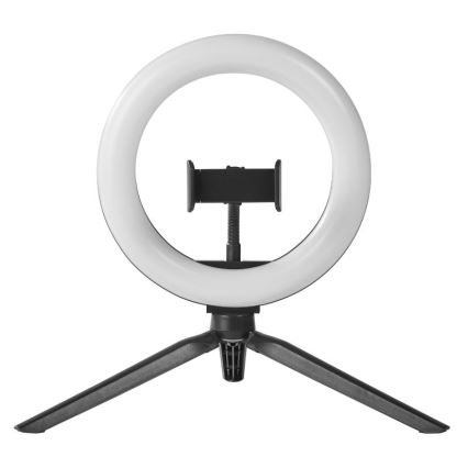 Ledvance - LED Hämardatav laualamp alusega ja hoidik vlogimiseks LED/5,5W/USB 3000/4000/6500K