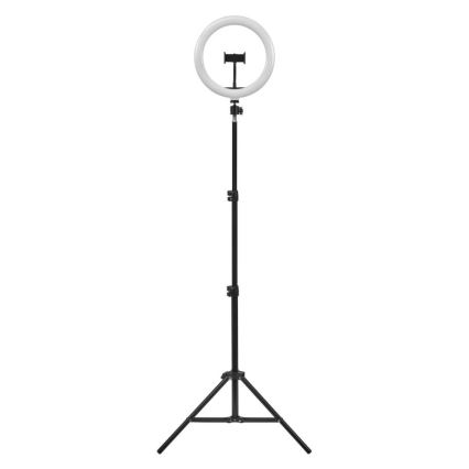 Ledvance - LED Hämardatav põrandalamp alusega ja hoidik vlogimiseks LED/6W/USB 3000/4000/6500K