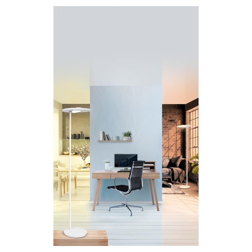 Ledvance - LED Hämardatav põrandalamp SUN@HOME LED/36W/230V 2200-5000K CRI 95 Wi-Fi