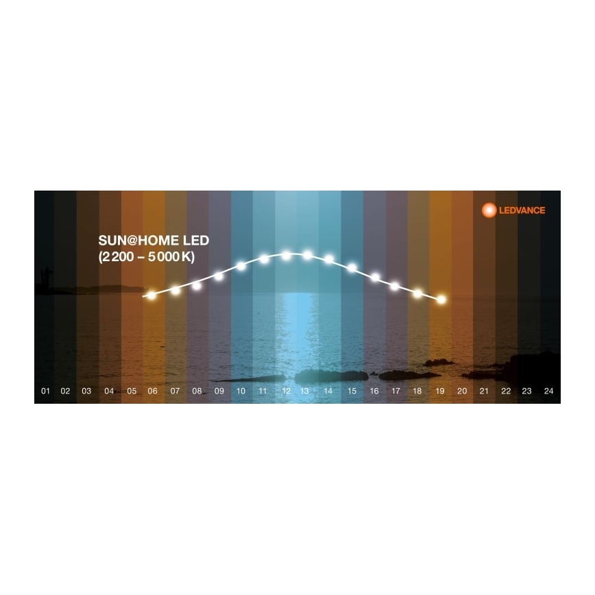 Ledvance - LED Hämardatav põrandalamp SUN@HOME LED/36W/230V 2200-5000K CRI 95 Wi-Fi