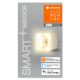 Ledvance - LED Hämardatav nutikas pistikupesa koos valgustusega SMART+ PLUG 3680W Wi-Fi