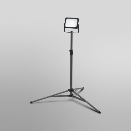 Ledvance - LED Hämardatav prožektor hoidikuga WORKLIGHT TRIPOD LED/20W/3,7V IP54