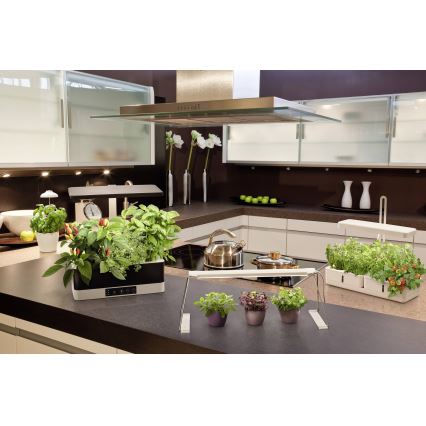Ledvance - LED Hämardatav sisevalgusti taimedele GARDEN KIT LED/24W/230V