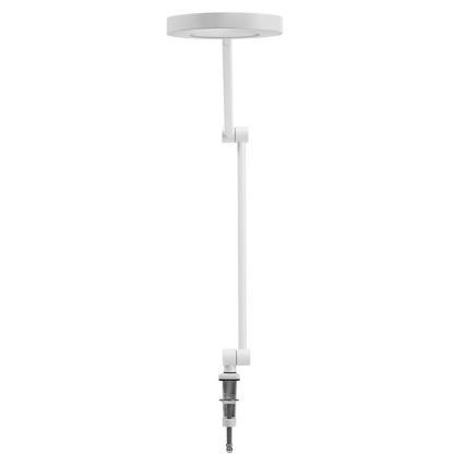 Ledvance - LED Hämardatav valgusti klambriga SUN@HOME LED/15W/230V 2200-5000K CRI 95 Wi-Fi