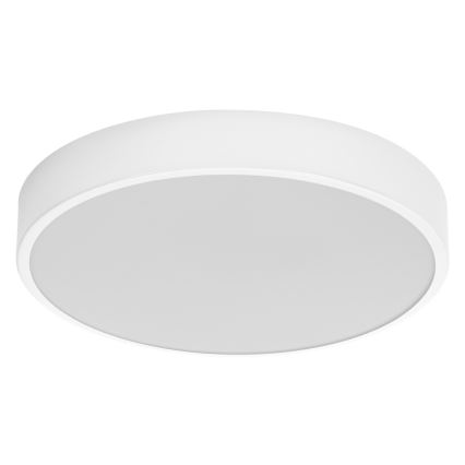 Ledvance - LED Laevalgusti ORBIS SLIM LED/20W/230V valge