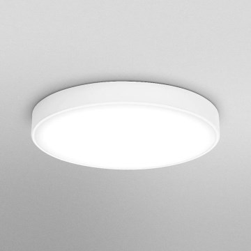 Ledvance - LED Laevalgusti ORBIS SLIM LED/36W/230V valge