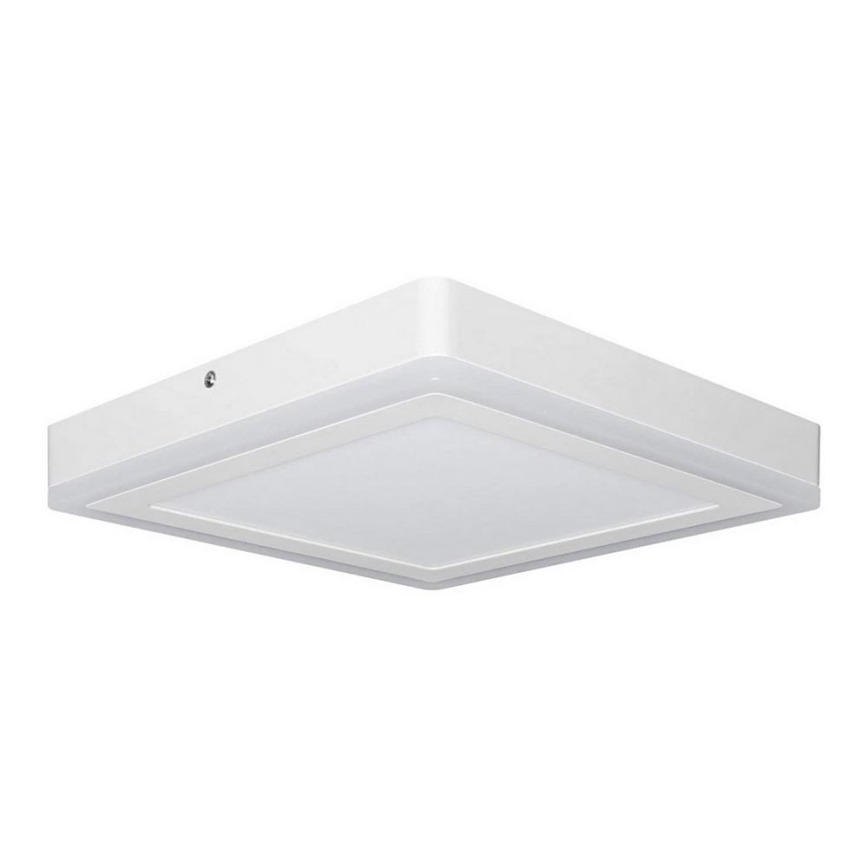 Ledvance - LED Laevalgusti SQUARE LED/18W/230V