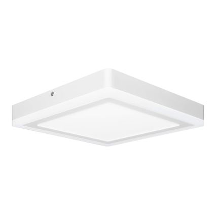 Ledvance - LED Laevalgusti SQUARE LED/18W/230V