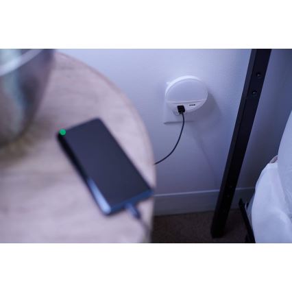 Ledvance - LED-öövalgusti pistikupessa anduriga LUNETTA 2xUSB LED/13W/230V