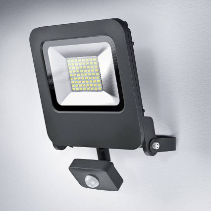 Ledvance - LED Prožektor anduriga ENDURA LED/50W/230V IP44