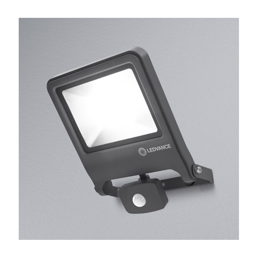 Ledvance - LED Prožektor anduriga ENDURA LED/50W/230V IP44