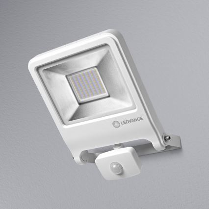 Ledvance - LED Prožektor anduriga ENDURA LED/50W/230V IP44