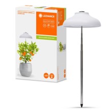 Ledvance - LED Siselamp taimedele GARDEN LIGHT LED/5W/5V