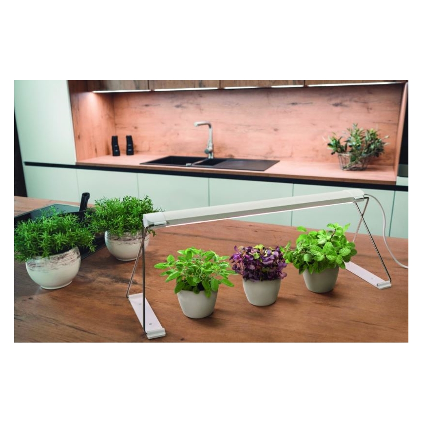 Ledvance - LED Sisevalgusti taimedele GARDEN LIGHT LED/14W/230V