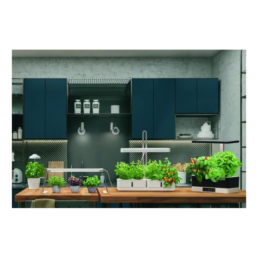 Ledvance - LED Sisevalgusti taimedele GARDEN LIGHT LED/14W/230V