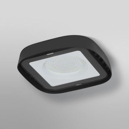 Ledvance - LED Tööstuslik laevalgusti HIGHBAY LED/80W/230V IP65 6500K