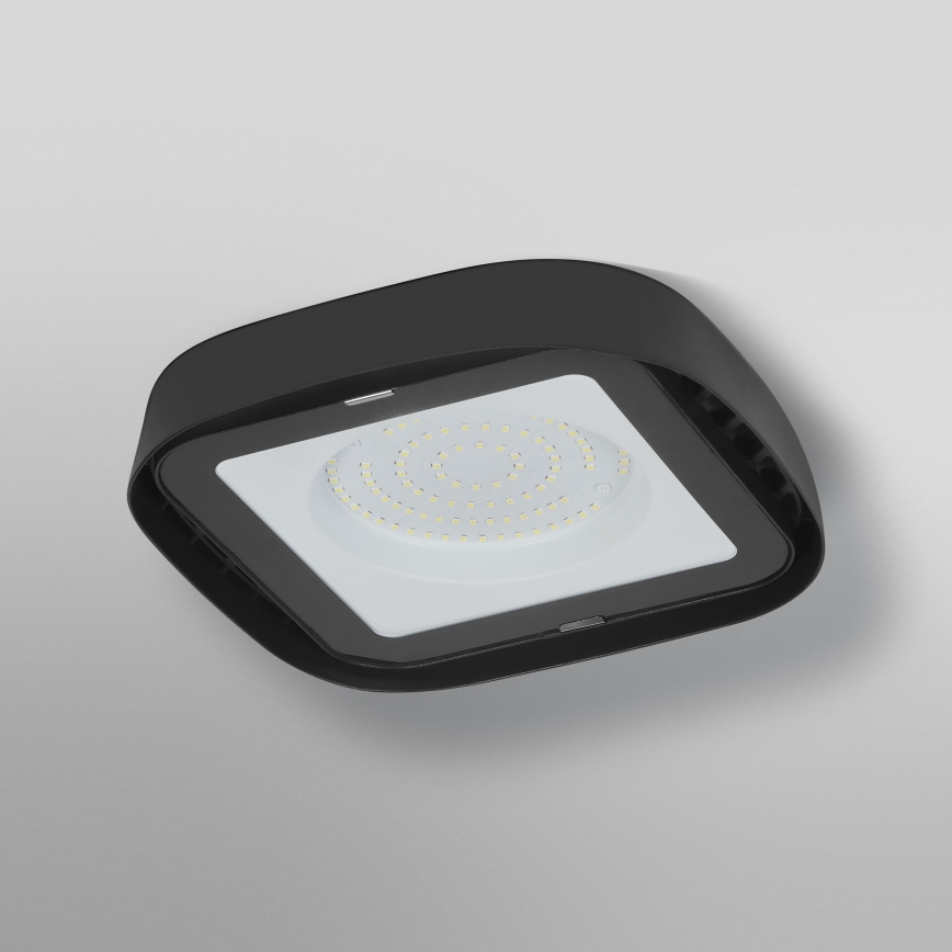 Ledvance - LED Tööstuslik laevalgusti HIGHBAY LED/80W/230V IP65 6500K