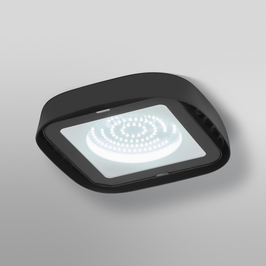 Ledvance - LED Tööstuslik laevalgusti HIGHBAY LED/80W/230V IP65 6500K