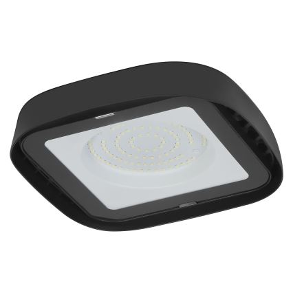 Ledvance - LED Tööstuslik laevalgusti HIGHBAY LED/80W/230V IP65 6500K