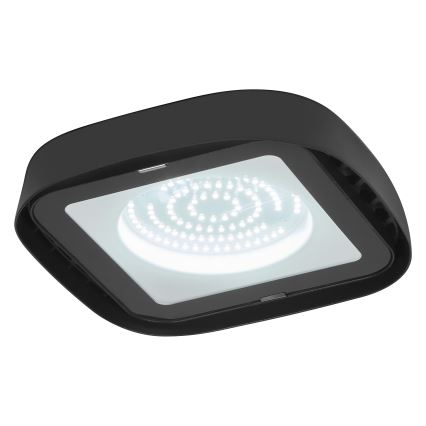 Ledvance - LED Tööstuslik laevalgusti HIGHBAY LED/80W/230V IP65 6500K