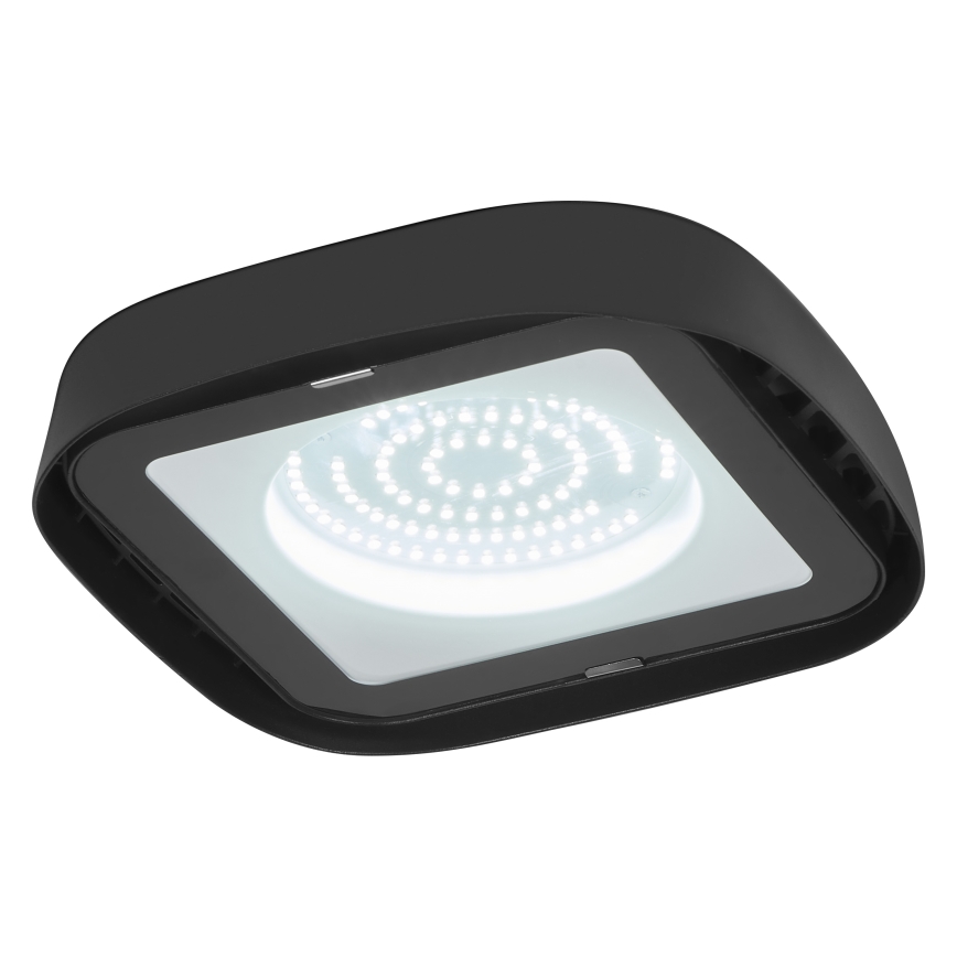 Ledvance - LED Tööstuslik laevalgusti HIGHBAY LED/80W/230V IP65 6500K