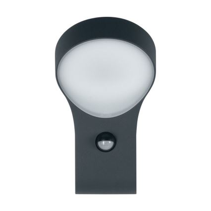 Ledvance - LED Väli seinavalgusti anduriga ENDURA LED/8W/230V IP44