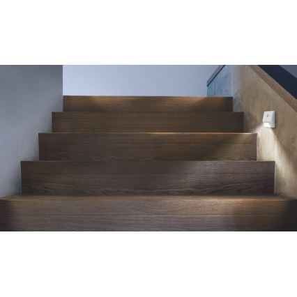 Ledvance - LED trepivalgusti anduriga NIGHTLUX LED/0,25W/3xAAA IP54