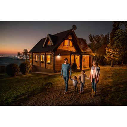 Ledvance - LED välisseinale kinnitatav prožektor liikumis- ja hämaruseanduriga FLOODLIGHT LED/30W/230V IP65