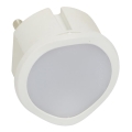 Legrand 50676 - LED Öövalgusti pistikupessa PL9 LED/0,06W/230V