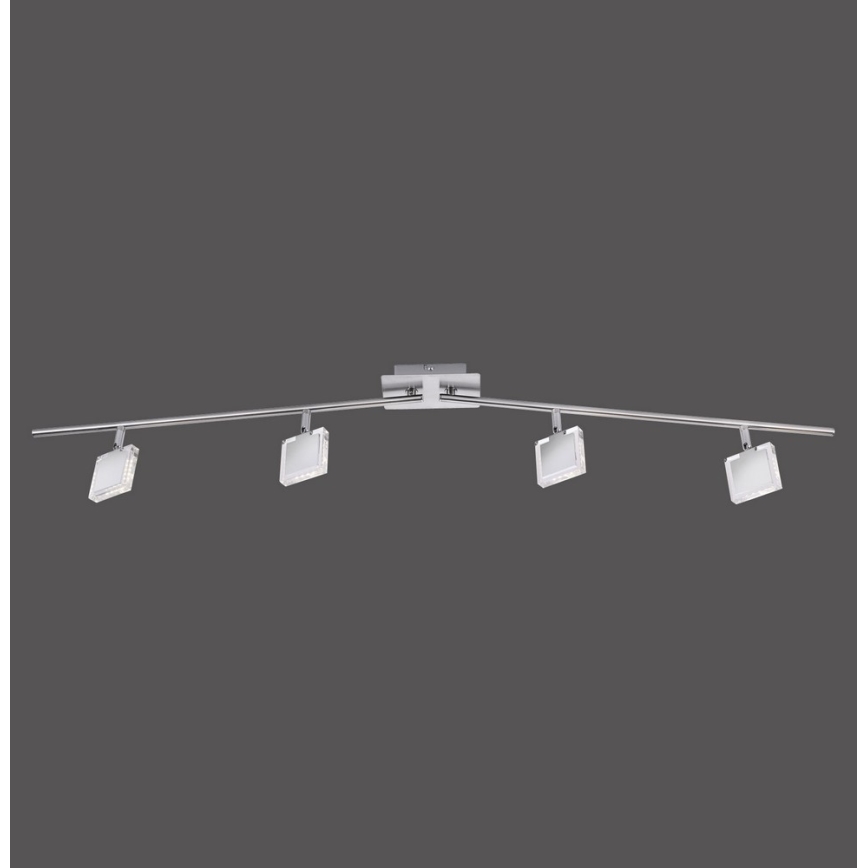 Leuchten Direkt 11084-55 - LED Kohtvalgusti TONY 4xLED/4W/230V