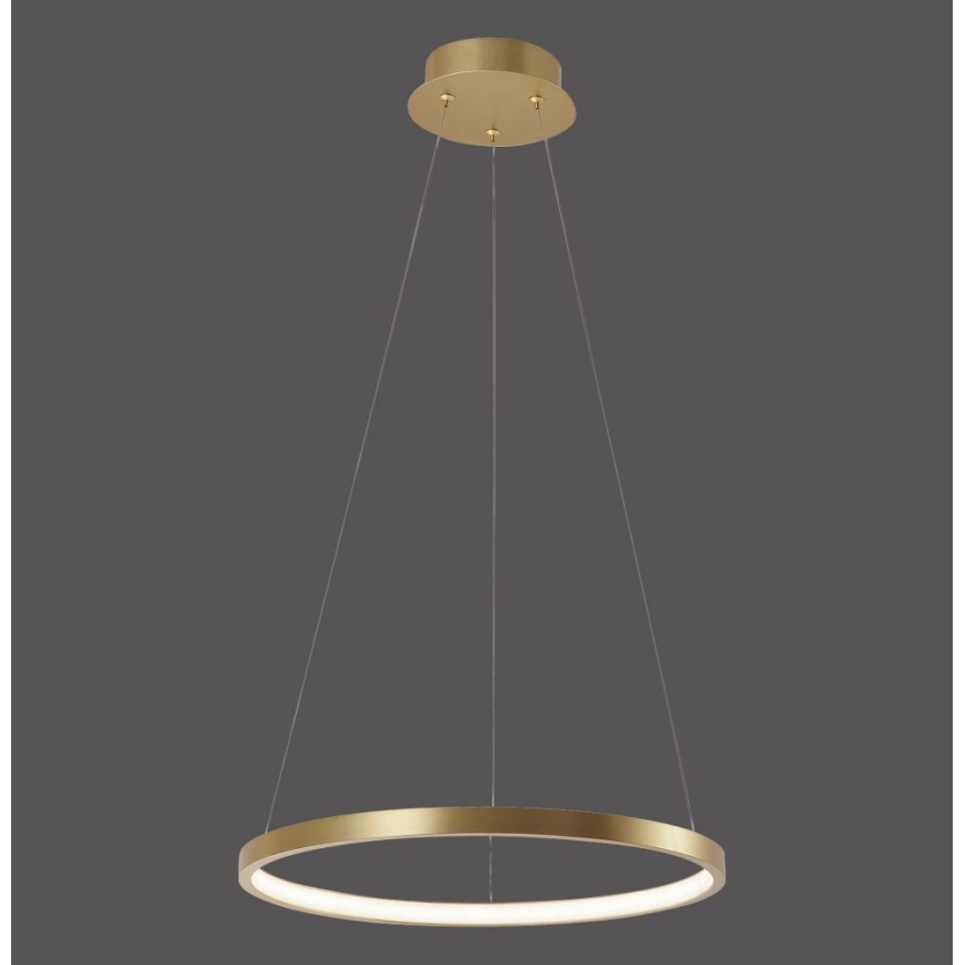 Leuchten Direkt 11522-12 - LED Lühter CIRCLE LED/19W/230V