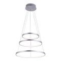 Leuchten Direkt 11526-55 - LED-hämardatav juhtmega rippvalgusti CIRCLE LED/13,5W/230V + LED/19,5W + LED/24W
