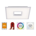 Leuchten Direkt 11645-16 - RGB LED Hämardatav laevalgusti RECESS LED/22,5W/230V + LED/5W + kaugjuhtimispult