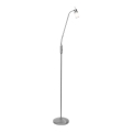 Leuchten Direkt 11938-55 - LED Põrandalamp MAX LED 1xGU10/4W/230V