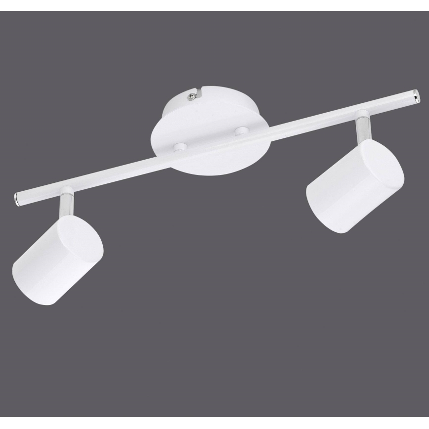 Leuchten Direkt 11942-16 - LED Kohtvalgusti TARIK 2xGU10/5W/230V valge