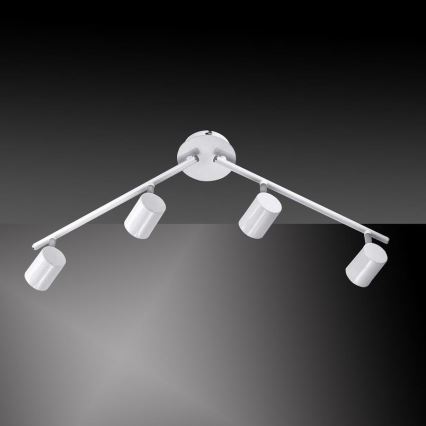 Leuchten Direkt 11944-16 - LED Kohtvalgusti TARIK 4xGU10/5W/230V valge