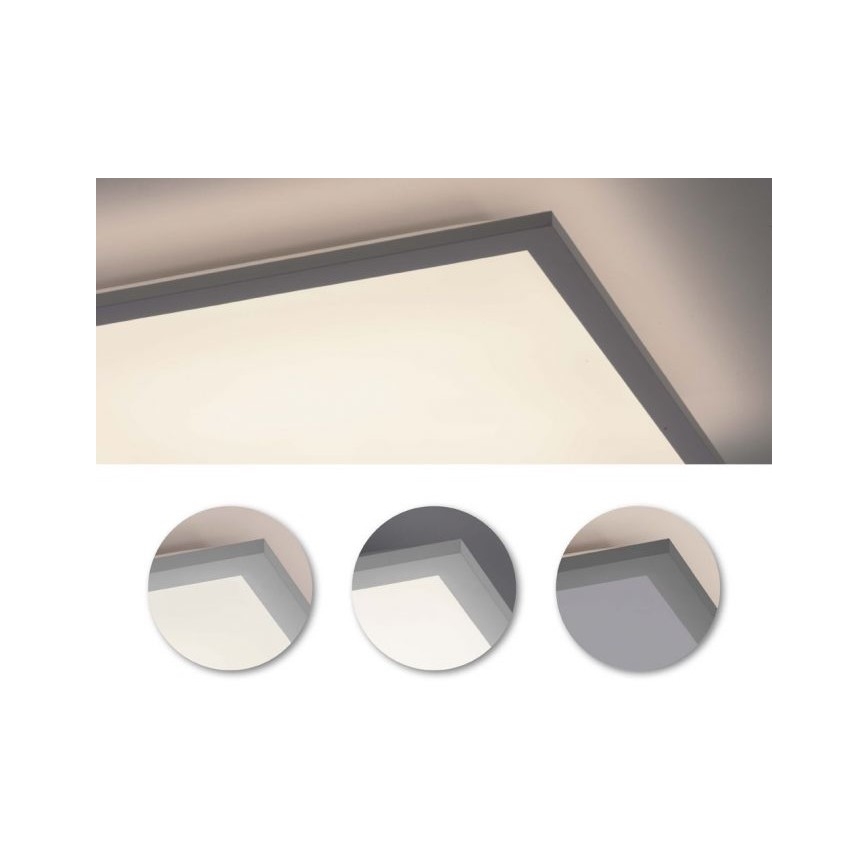 Leuchten Direkt 12204-16 - LED Pinnale kinnitatav paneel FLAT LED/24W/230V