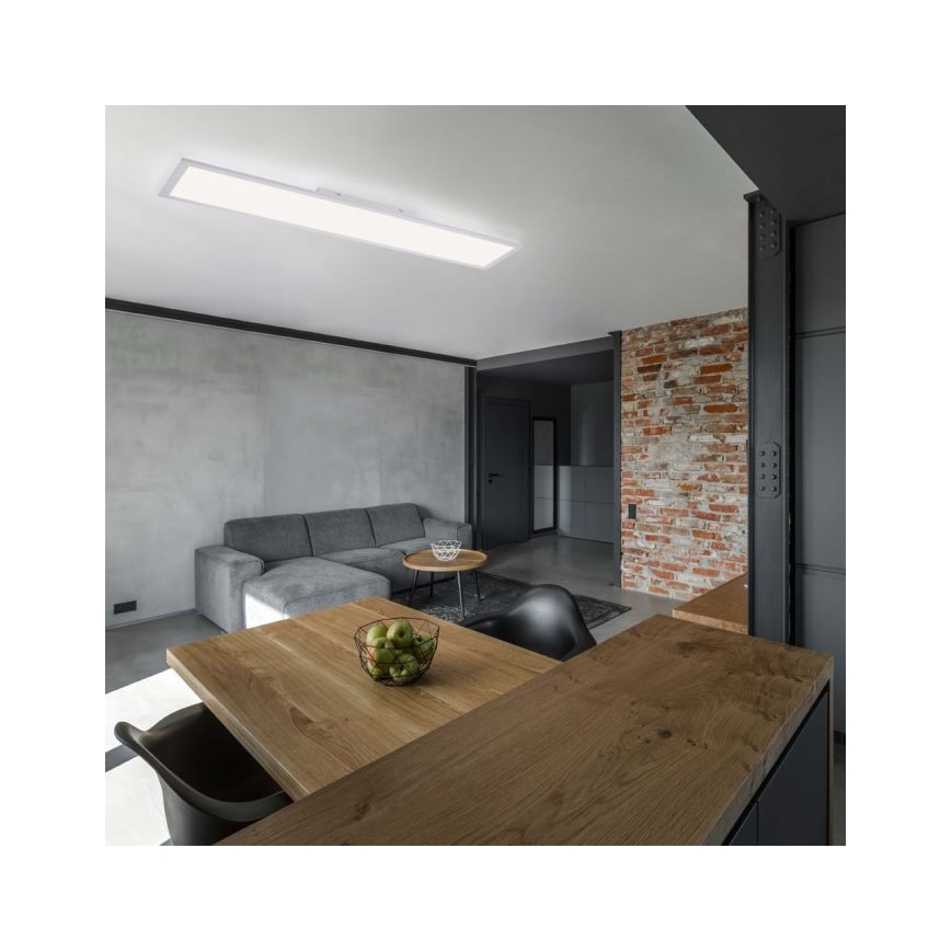 Leuchten Direkt 12204-16 - LED Pinnale kinnitatav paneel FLAT LED/24W/230V