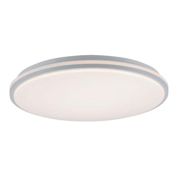 Leuchten Direkt 14208-16 - LED Hämardatav laevalgusti COLIN LED/18W/230V