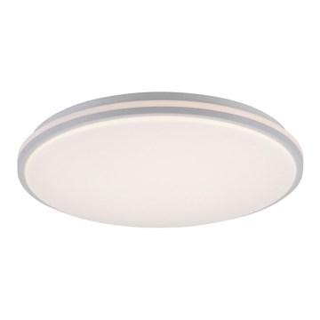 Leuchten Direkt 14209-16 - LED Hämardatav laevalgusti COLIN LED/32,4W/230V