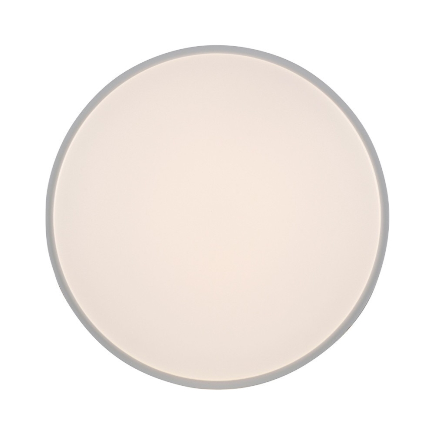 Leuchten Direkt 14209-16 - LED Hämardatav laevalgusti COLIN LED/32,4W/230V