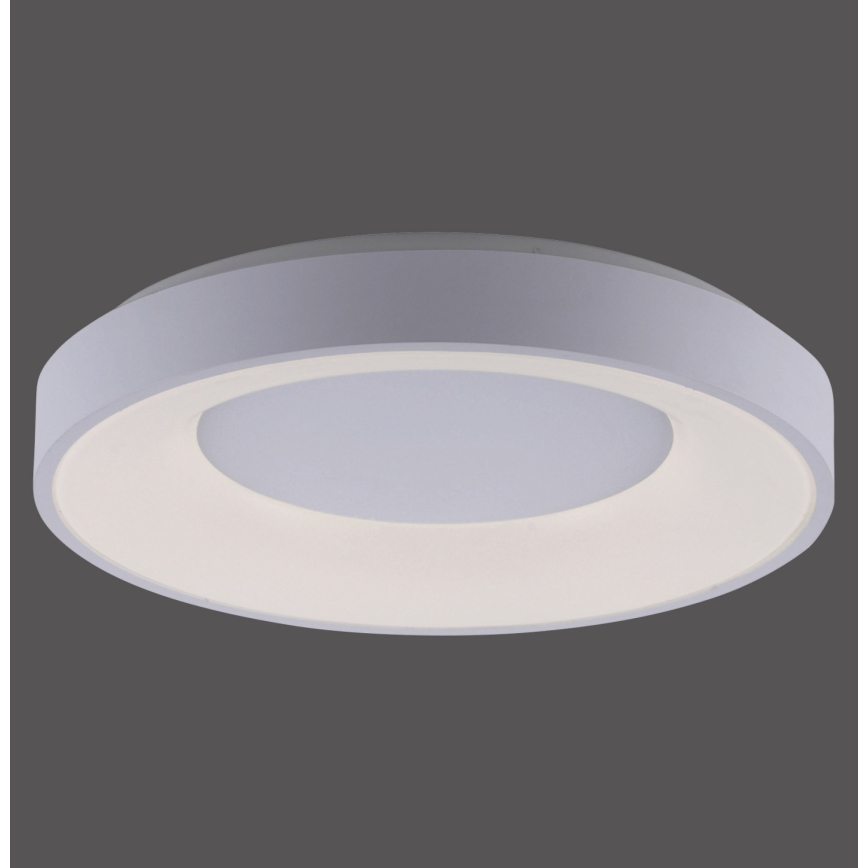 Leuchten Direkt 14326-16 - LED Hämardatav laevalgusti ANIKA LED/30W/230V + Pult