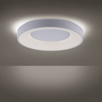 Leuchten Direkt 14326-16 - LED Hämardatav laevalgusti ANIKA LED/30W/230V + Pult