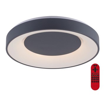 Leuchten Direkt 14346-18 -LED RGB Hämardatav laevalgusti ANIKA LED/26,5W/230V Tuya 2700-5000K + Pult