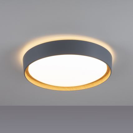 Leuchten Direkt 14347-15 - LED Hämardatav laevalgusti EMILIA LED/28,8W/230V hall