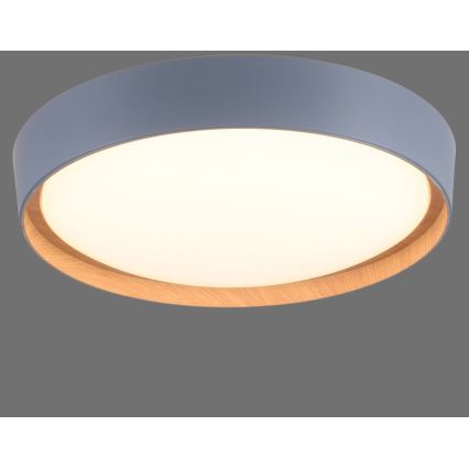 Leuchten Direkt 14347-15 - LED Hämardatav laevalgusti EMILIA LED/28,8W/230V hall