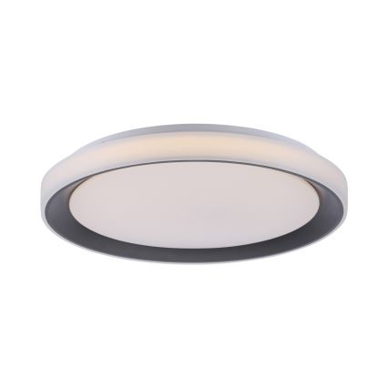 Leuchten Direkt 14659-18 - LED RGB Hämardatav laevalgusti LOLA LED/24W/230V Tuya + pult